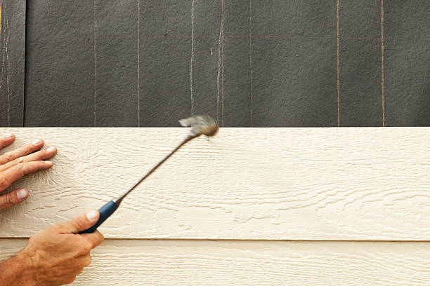 Affordable Siding Repair and Maintenance Services in Munising, MI